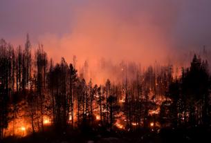 From Tweets to Fame: Tech Lein Moments That Blew Up This Week