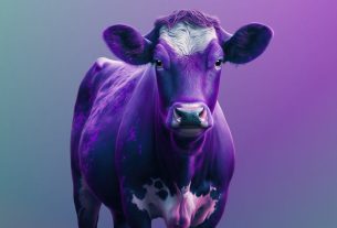 Purple Cow in Marketing