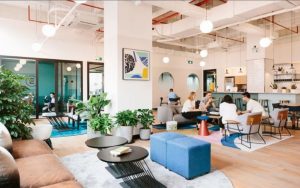 Rose Office