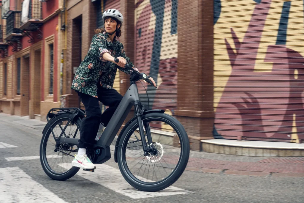 touring e bike